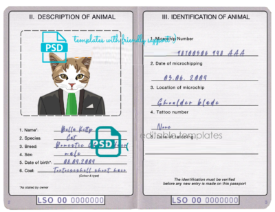 Lesotho cat (animal, pet) passport PSD template, completely editable