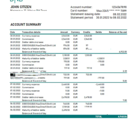 Lithuania DNB bank statement Excel and PDF template