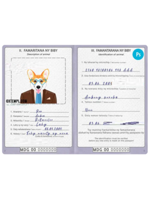 Madagascar dog (animal, pet) passport PSD template, fully editable