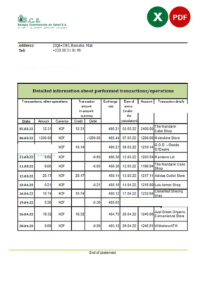 Mali Banque Commerciale du Sahel bank statement Excel and PDF template