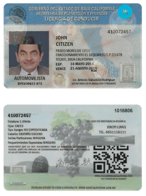 MEXICO Baja California driving license PSD template, fully editable