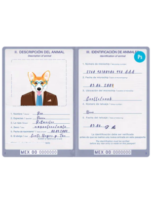 Mexico dog (animal, pet) passport PSD template, completely editable