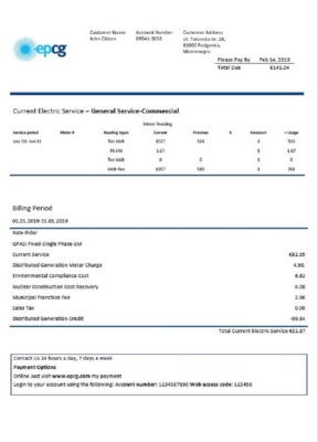 Montenegro Elektroprivreda Crne Gore (EPCG) electricity utility bill template in Word and PDF format