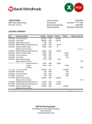 Namibia Bank Windhoek bank statement Excel and PDF template