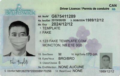 New Brunswick Drivers License Template