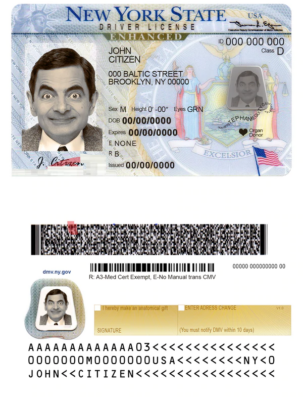 New York Driver License Psd Template V1, V2 & V3 (Multi Version)