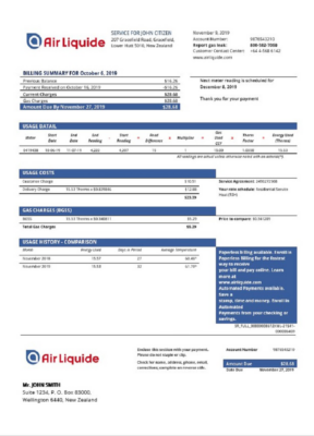 New Zealand Air Liquide gas utility bill template in Word and PDF format