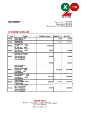 Nigeria Zenith Bank statement Excel and PDF template