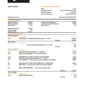 Oman Sohar International bank statement Excel and PDF template