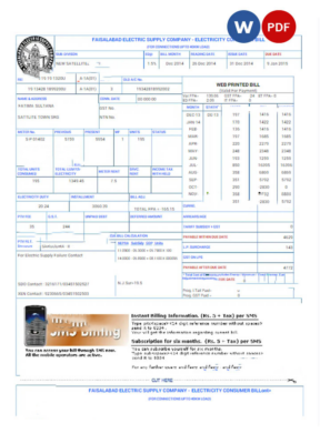 PAKISTAN FAISALABAD utility bill Word and PDF template