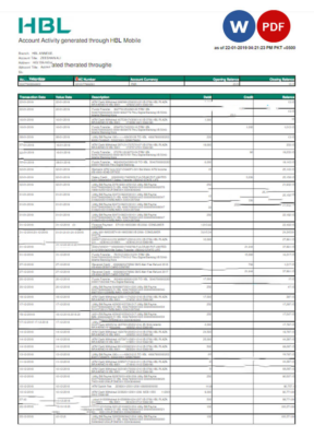 PAKISTAN HBL utility bill Word and PDF template