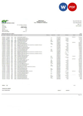 PAKISTAN MCB bank statement Word and PDF template