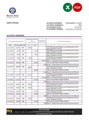 Pakistan Meezan bank statement Excel and PDF template