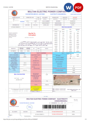 PAKISTAN MULTAN ELECTRIC POWER utility bill Word and PDF template, version 2