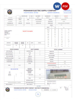 PAKISTAN QUBEE utility bill Word and PDF template