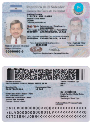 Pakistan Sindh province driving license PSD template, completely editable