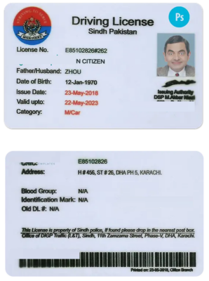 PAKISTAN Sindh province driving license PSD template, version 2