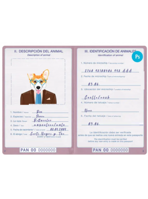 Panama dog (animal, pet) passport PSD template, completely editable