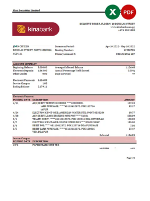 Papua New Guinea Kina Securities Limites bank statement Excel and PDF template