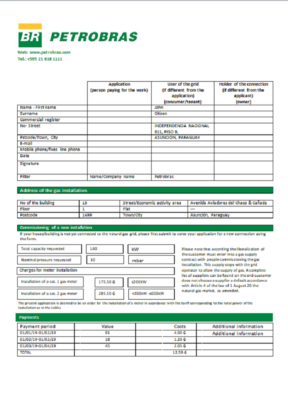 Paraguay Petrobras Paraguay Operations and Logistics gas company utility bill template in Word and PDF format