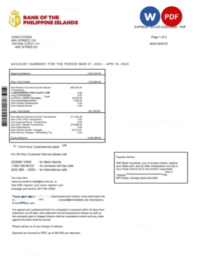 Philippines Bank of the Philippine Islands bank statement 2 pages