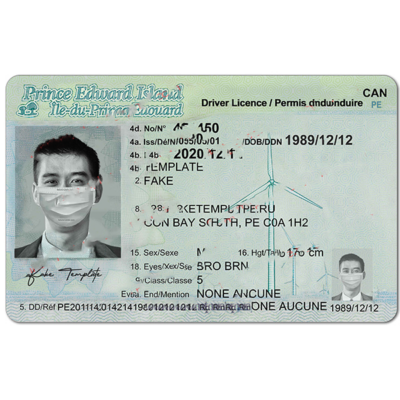 Prince Edward Island Driver License Template