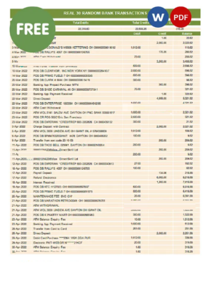 real random bank transactions Word and PDF template