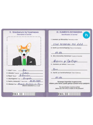 Rwanda dog (animal, pet) passport PSD template, fully editable