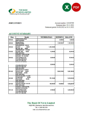 Saint Kitts and Nevis The Bank of Nevis bank statement, Excel and PDF template