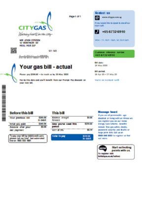 Singapore City Gas utility bill template in Word and PDF format