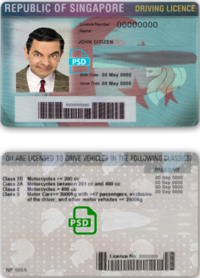 Singapore driving license template in PSD format, fully editable, with all fonts