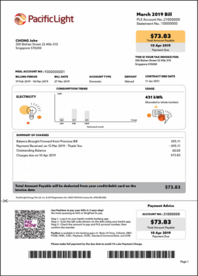 Singapore Pacific Light electricity utility bill template in Word and PDF format