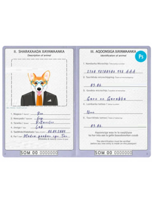 Somalia dog (animal, pet) passport PSD template, fully editable