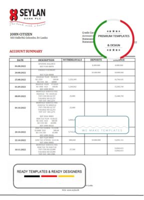 Sri Lanka Seylan bank statement template in Word and PDF format, version 2