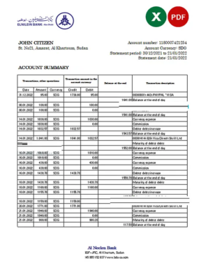 Sudan Al Neelen Bank statement, Excel and PDF template