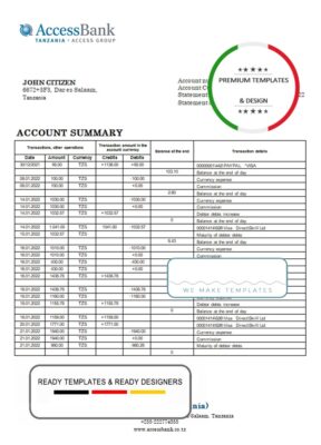 Tanzania Access Bank statement template in Word and PDF format