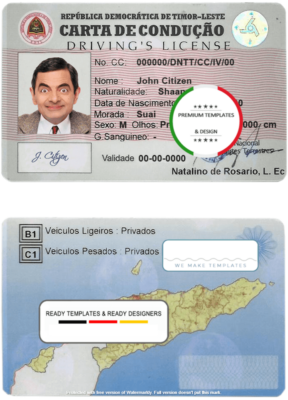 Timor-Leste driving license template in PSD format, fully editable