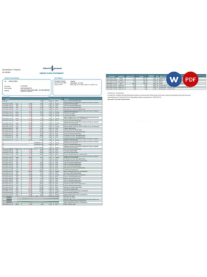 Turkey Bankasi bank statement, Word and PDF template, 2 pages