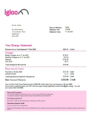 United Kingdom Igloo Energy utility bill template in Word and PDF format