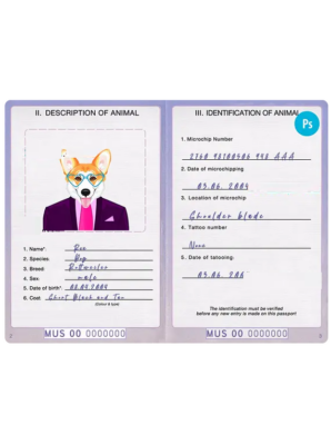 United States of America dog (animal, pet) passport PSD template, fully editable