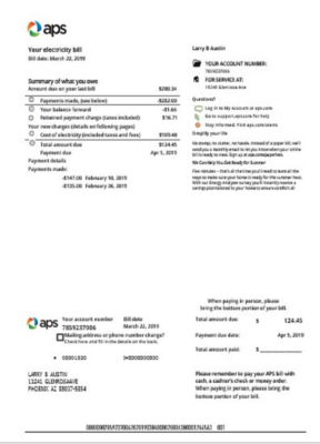 USA Arizona APS electricity proof of address utility bill template in Word and PDF format