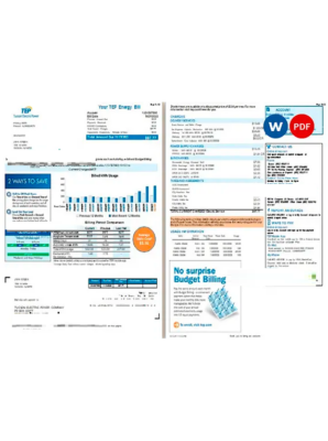 USA Arizona Tucson Electric Power (TEP) utility bill, Word and PDF template, 2 pages