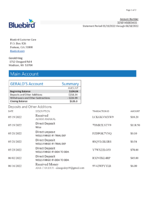 USA Bluebird Bank Account Statement Template in Word & PDF formats – 2 pages