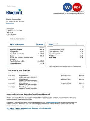 USA Bluebird bank statement Word and PDF template