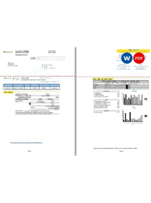 USA California Palo Alto utility bill, Word and PDF template, 2 pages