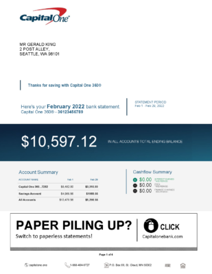 USA Capital One Bank Statement in Word & PDF format – 4 pages