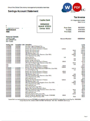 USA Capitec bank statement Word and PDF template