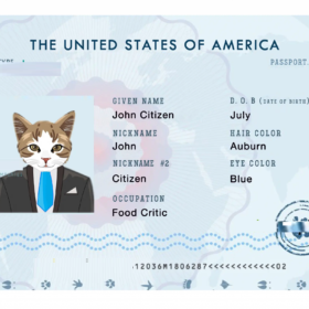 USA cat (animal, pet) electronic passport PSD template, fully editable