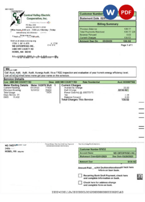 USA CENTRAL VALLEY ELECTRIC utility bill Word and PDF template