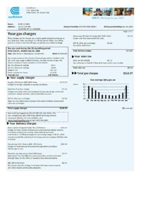 USA Con Edison gas utility bill template in Word and PDF format